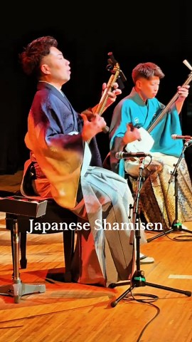 Exploring the Beauty of the Shamisen: A Japanese Tradition