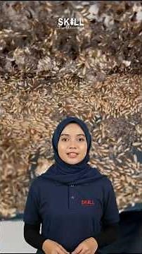 Rahsia Hapuskan Sarang Anai Anai Tanpa Tebuk Lantai!