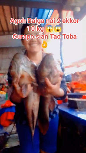 Sudah SOLD ini yah gais mauliatema di na manuhor 🙏🫶 #Ikantao #reels #sioto #fbpro @sorotan | Tina Letizia Siregar