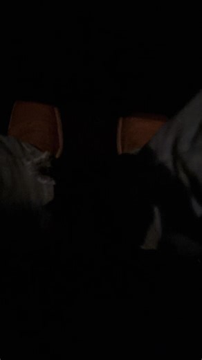 jayden (@jayade46)’s videos with original sound - Peanut5🇵🇷