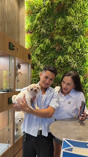 🤣 Really!! This dog is so naughty #shortsvideo