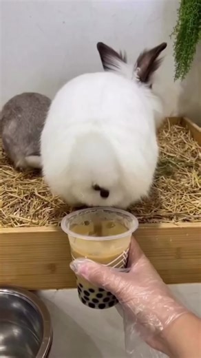 ¡Cómo salir de esta situación inesperada!