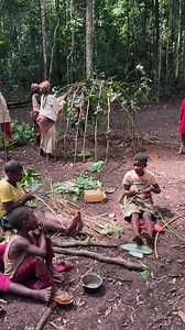 Documentando en África. Vida cotidiana en la selva de Camerun. Vivir con los Pigmeos Baka. #akumbele #documentary | Quim Fàbregas - Fotografía y Viajes.