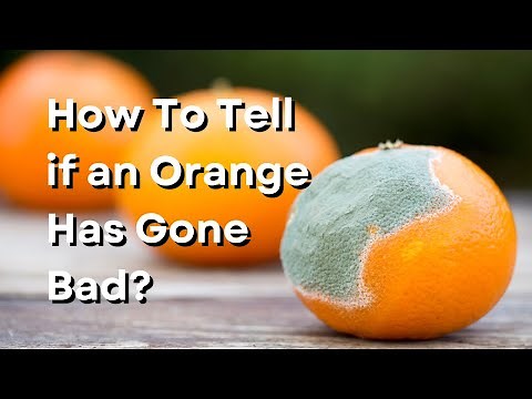How To Tell if an Orange Has Gone Bad?