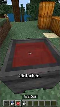 Unterschiede zwischen Java und Bedrock | Minecraft Fakten
