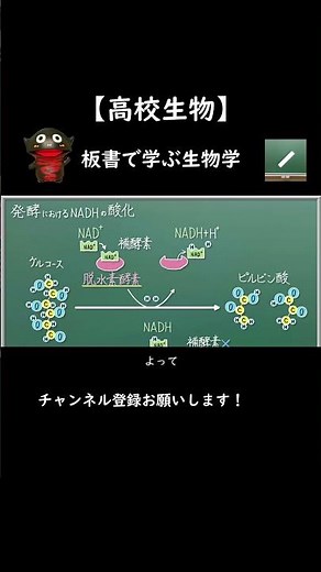 発酵の過程で，NADHはどのようにしてNAD+に戻るのか？【89生物】#shortｓ
