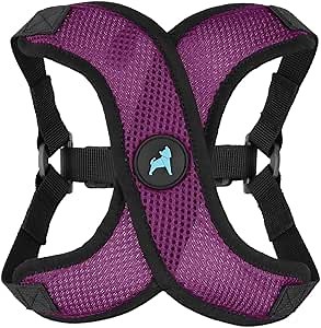 Gooby Comfort X Step in Lite Dog Harness - Choke Free, Escape Free with Light Breathable Mesh - Step in Dog Harness for Small and Medium Dogs - Quick Release Buckle, Metal D-Rings - Purple, Medium