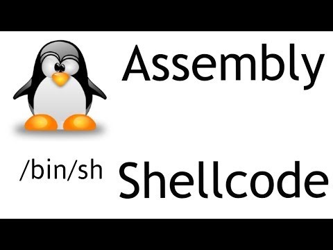 How to build a shellcode in assembly NASM