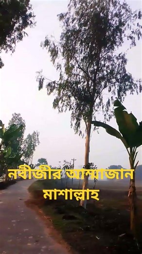 প্রিয় নবীজির আম্মাজানের কবরস্থান # #ytshorts #islamic #islamicshorts #viral #shorts