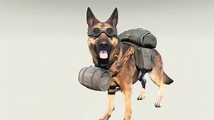 Dogmeat's Backpack