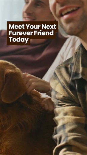 Beginner’s Guide to Puppy-Proofing Your Home