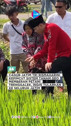 Kampanye Tri Rismaharini dan Inovasi Petani Trenggalek