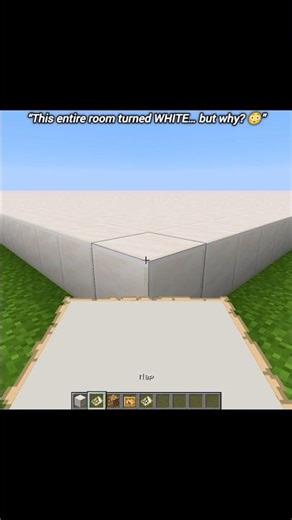 I Filled a Whole Map With Quartz Blocks…😳 #minecraft