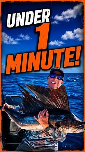 How to Catch a Sailfish in Under 1 Minute! 🎣⚡