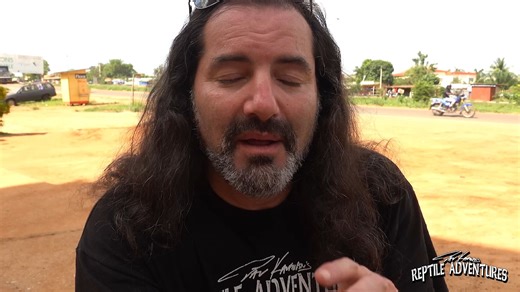 BALL PYTHONS IN THE WILD (An Original Film)