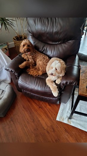 Laura Goodwin on Reels