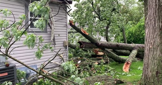 Springfield neighborhood damaged by severe storm