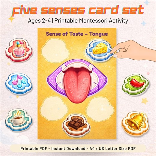 Five Senses Printable Cards | Toddler Montessori Learning Activity (digital Download) - Etsy