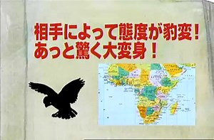 Japanese transforming owl.