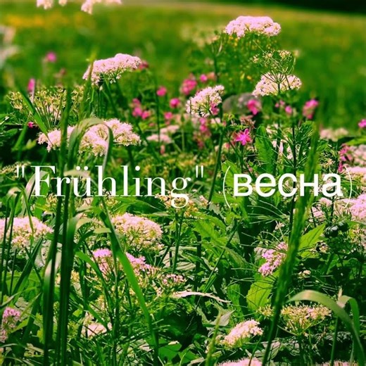 „Frühling (весна)“ #liedermacher #springtime #primavera #frühling #printemps #весна #geraldfleisch