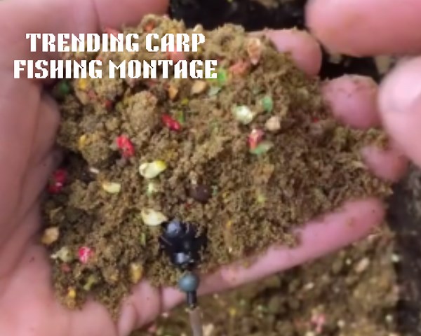 Top Fishing Action: Watch This Legendary Catch