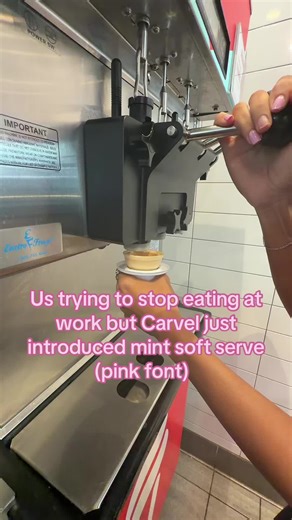 #mint #obsessed #babcockranch #fypシ゚@Carvel Ice Cream | icecream