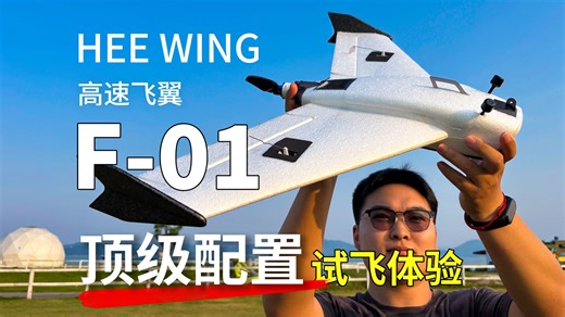 高速机 F-01 顶配试飞体验！揭秘小飞翼高效好飞小技巧