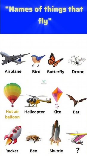 Things That Can Fly