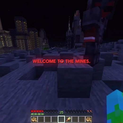 i survived minecraft’s most corrupt city. #parrotx2 #lifesteelsmp #minecraft #unstableuniverse