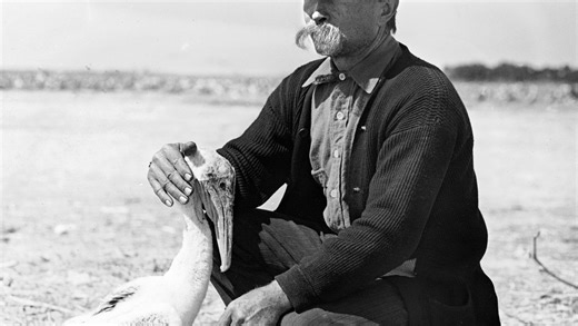 Roosevelt made Florida's Pelican Island first national wildlife refuge