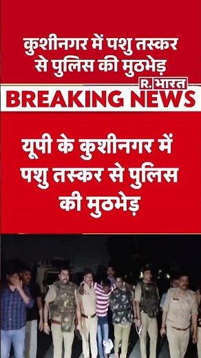 UP News : यूपी के कुशीनगर में पशु तस्कर से पुलिस की मुठभेड़ | R Bharat | #shorts