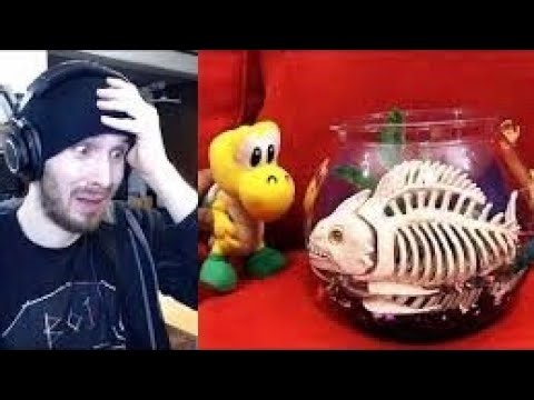 SML Movie: Joseph's Pet Reaction!