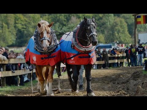 Uhliská Straparijáda 2025 !! Official video