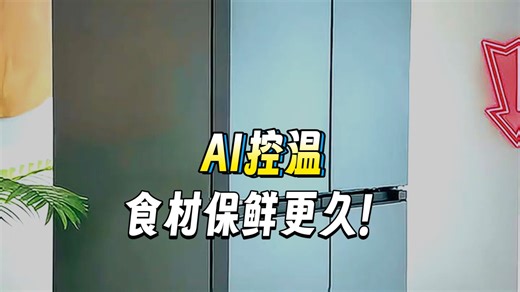 488升嵌入式AI变频冰箱