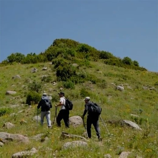 wifi signal to join session #bigscreen #vr #ai #swampers #funny #viralvideos #memes #shorts #video