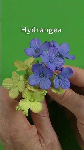 😮 Make at least 24 sugar flower designs with just one mould! #cakedecorating #siliconemould #mold
