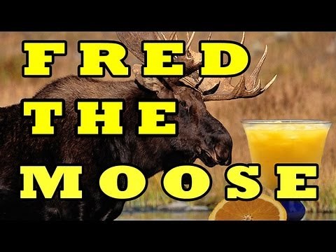 FRED THE MOOSE (The Moose Song) -- THE LEARNING STATION