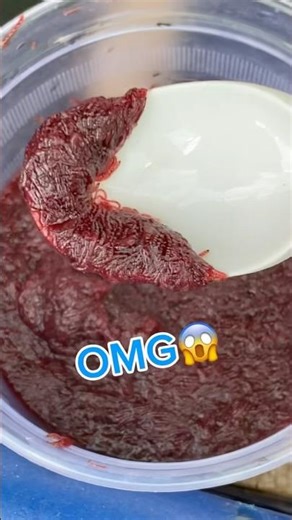 Feed your betta fish red mosquito larvae.