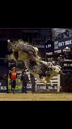 🦬 Air Time was one of the most memorable bulls in PBR, and for good reason. He had a mind of his own, a style that kept riders guessing, and a way of making every out stand out. Whether it was his high-flying bucks or the way he rattled even the best riders, his impact on the sport still lives on. #reels #agro #viral #bullfighters #bullrider #roça #rodeio #rodeo #sertanejo #sport #atleta #farm #americanhatco #prca #prorodeio #texas #cautry #cawboy #vaquejada #horse #good #men #roça #bruto #brut