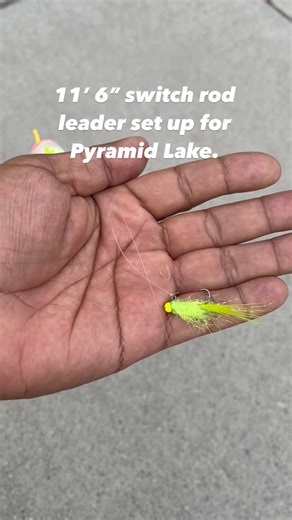 @nativeflyguy | Two-handed switch rod leader set up for indicator fishing at Pyramid Lake. I like my leaders to be slightly longer than my rods to allow... | Instagram