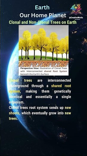 Clonal and Non-Clonal Trees on Earth
