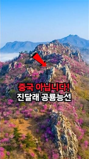 중국 아닙니다! 진달래가 뒤덮은 남도의 공룡능선