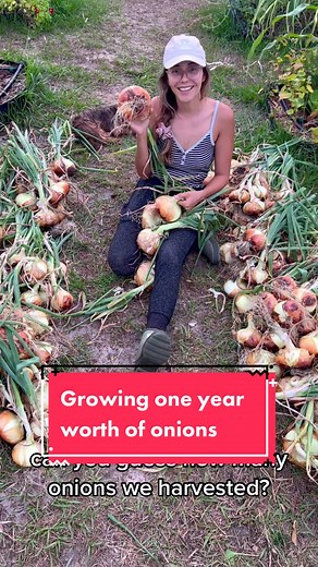 Massive Onion Harvest: Growing One Year's Worth in Raised Beds