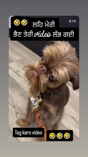 pakhandi_baba_012 on Instagram