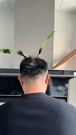 Discover the Hidden Gem of Zhu Yu's Works You Missed