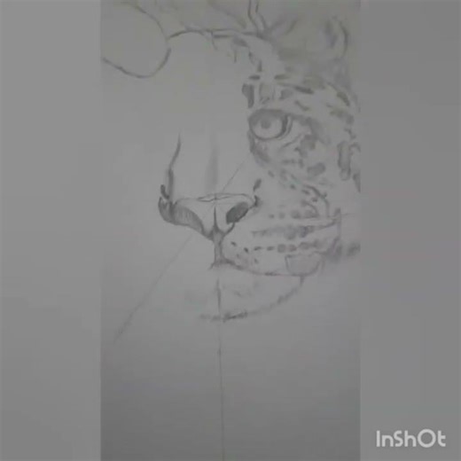 tiger outline complete