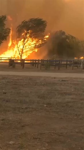 Tornados e o Fogo: Compilação de Fenômenos Naturais