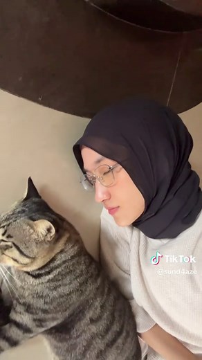 The Perfect Noon Nap: Tips for Cats and People