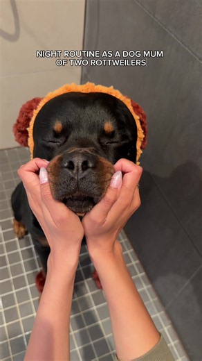 Matching Pyjamas With My Rottweiler Bear (Night Routine)