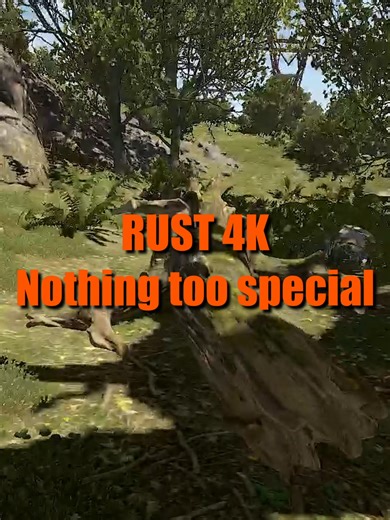 RUST 4K Nothing Too Special #rust #rustgame #rustpc #rustconsole #rusttok #rustgameplay